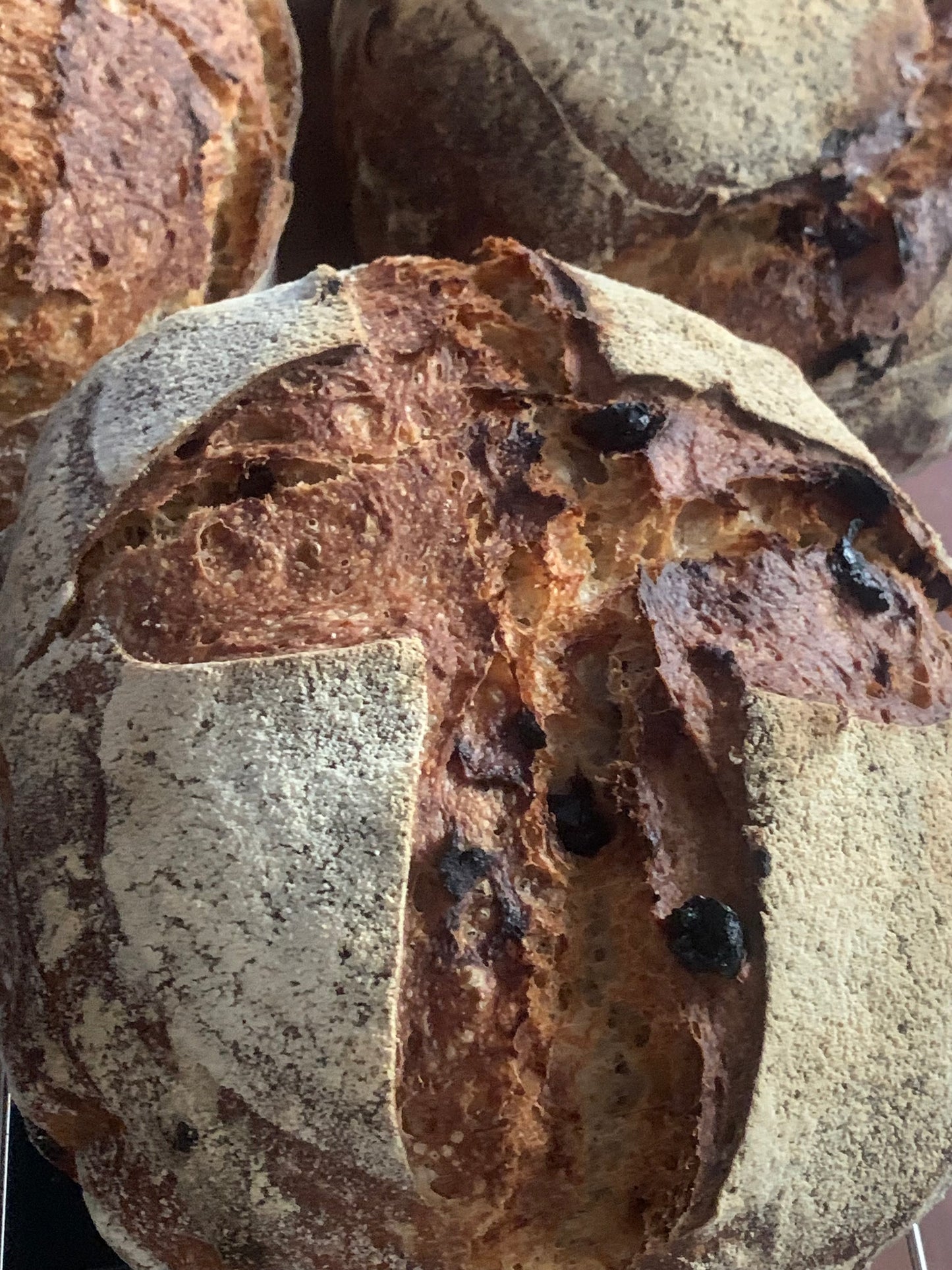 Sourdough artisanal loaf with dried cranberries and ginger (~900g)