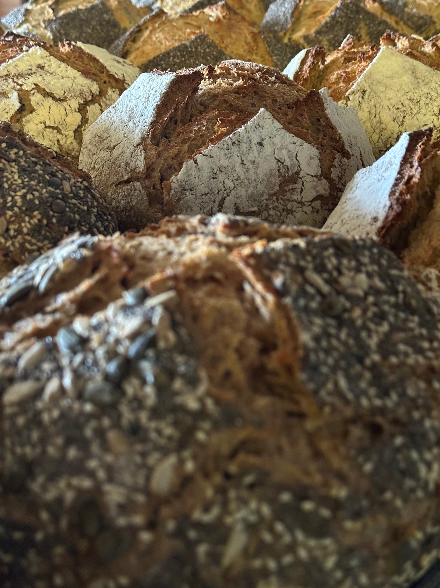 Sourdough multiseeds