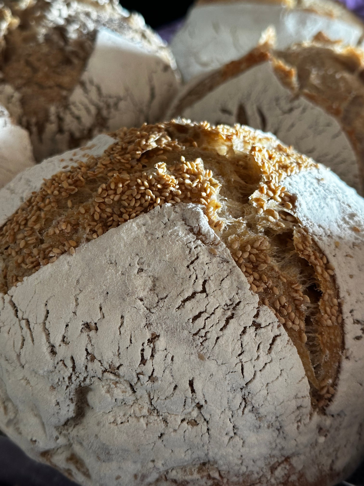 Sourdough Plain (1kg)