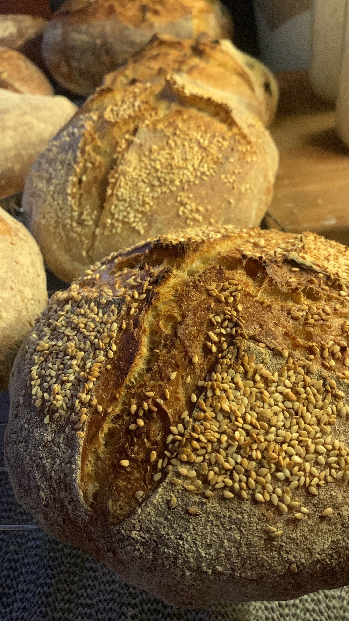 Sourdough sesame (weight ~900 grams)