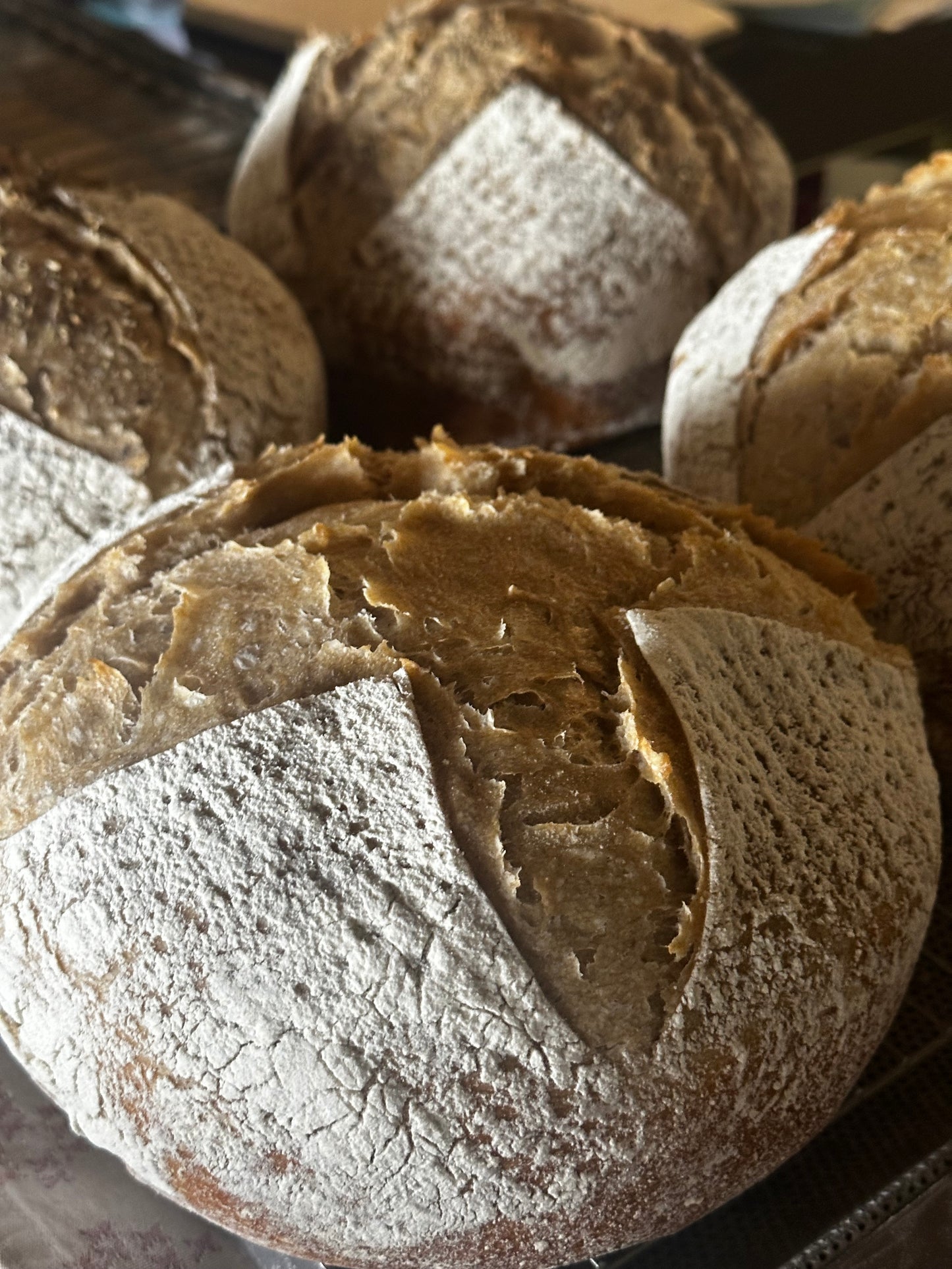 Sourdough Plain