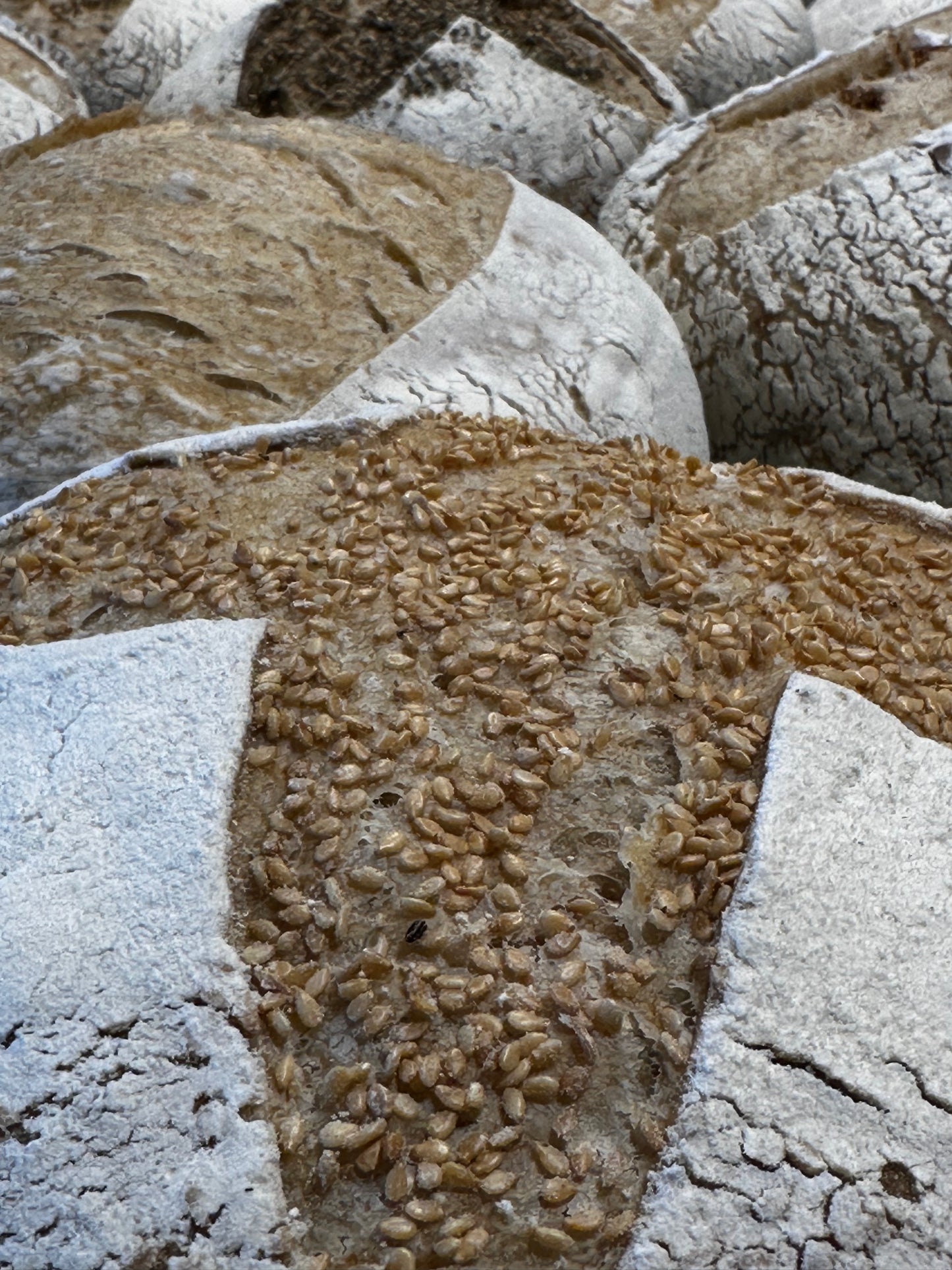 Sourdough sesame (weight ~900 grams)