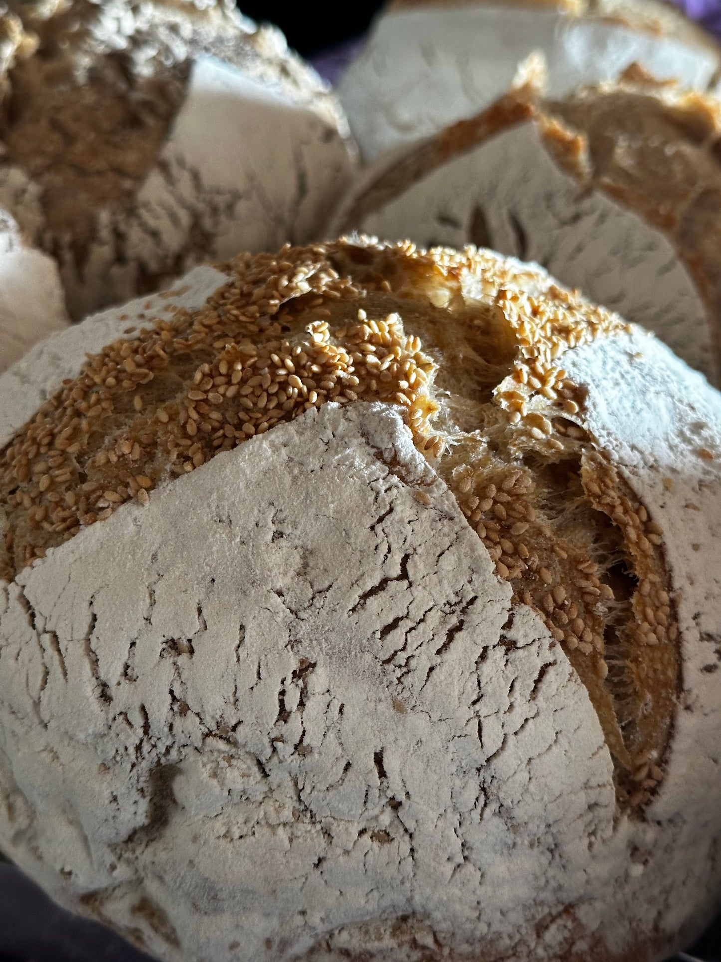 Sourdough Plain