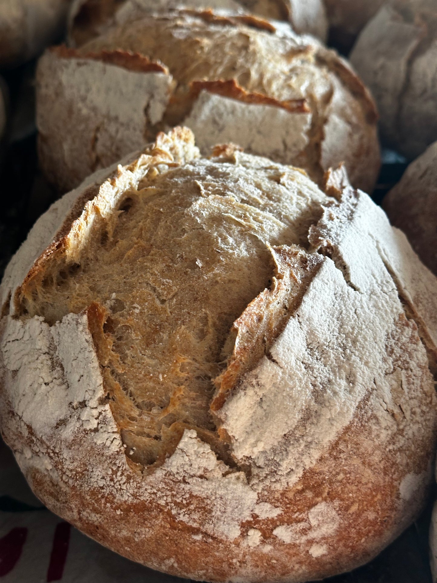 Sourdough Plain