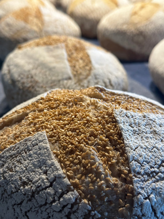 Sourdough sesame (weight ~900 grams)