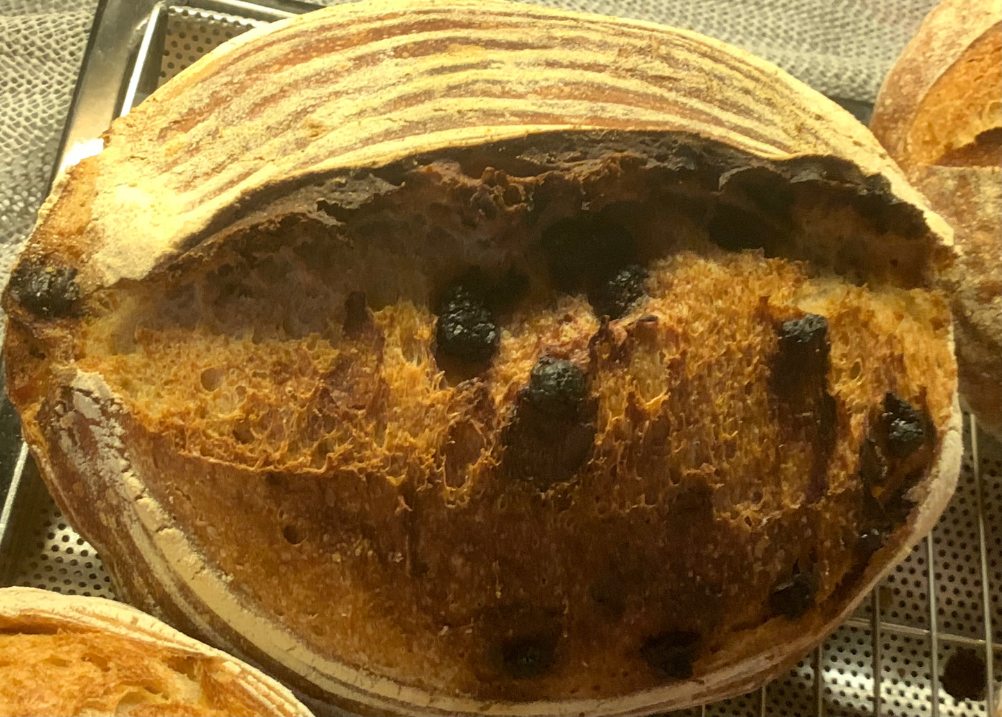 Sourdough with Hershey’s dark chocolate chips (weight ~950grams)