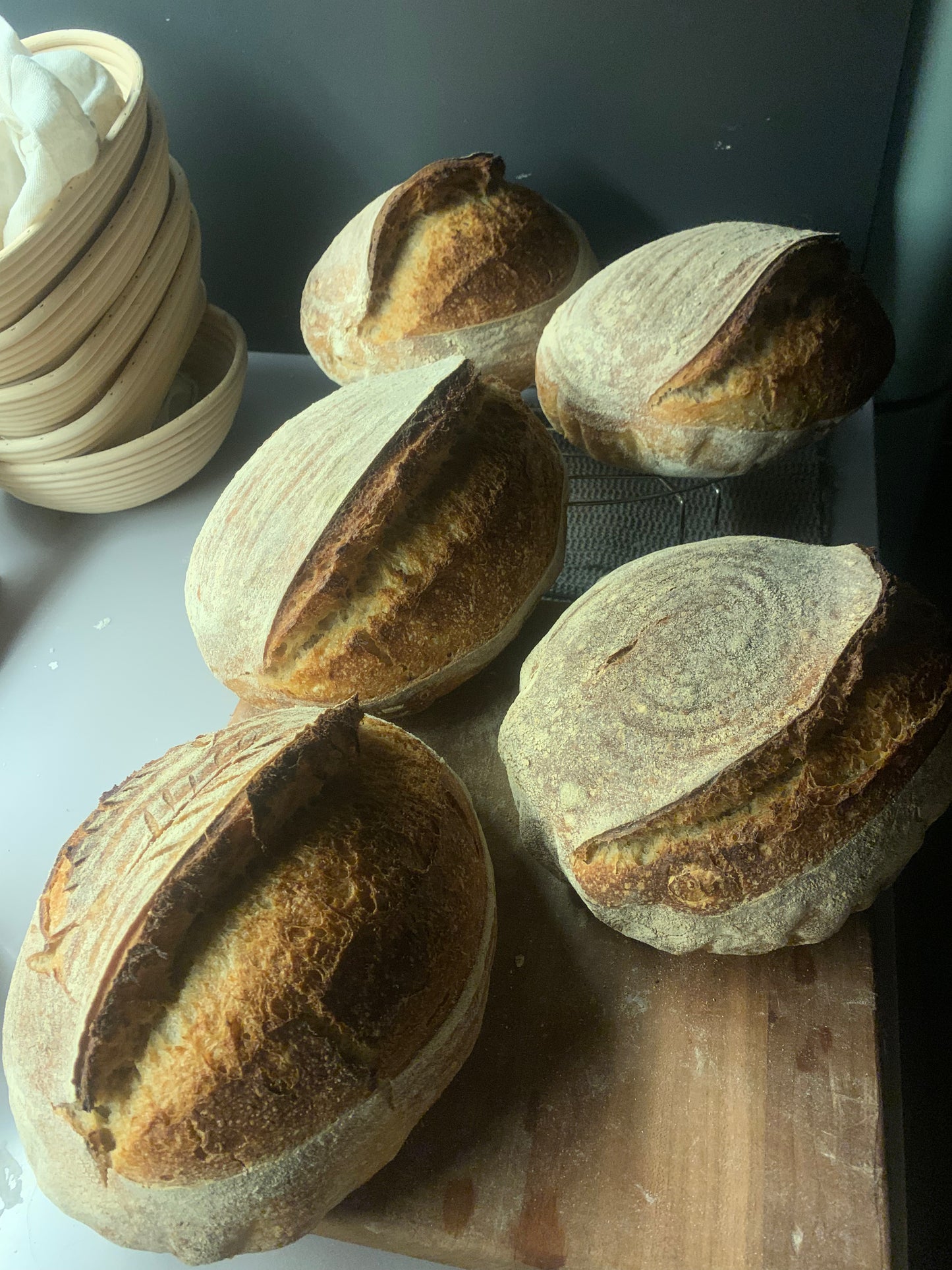 Sourdough Plain