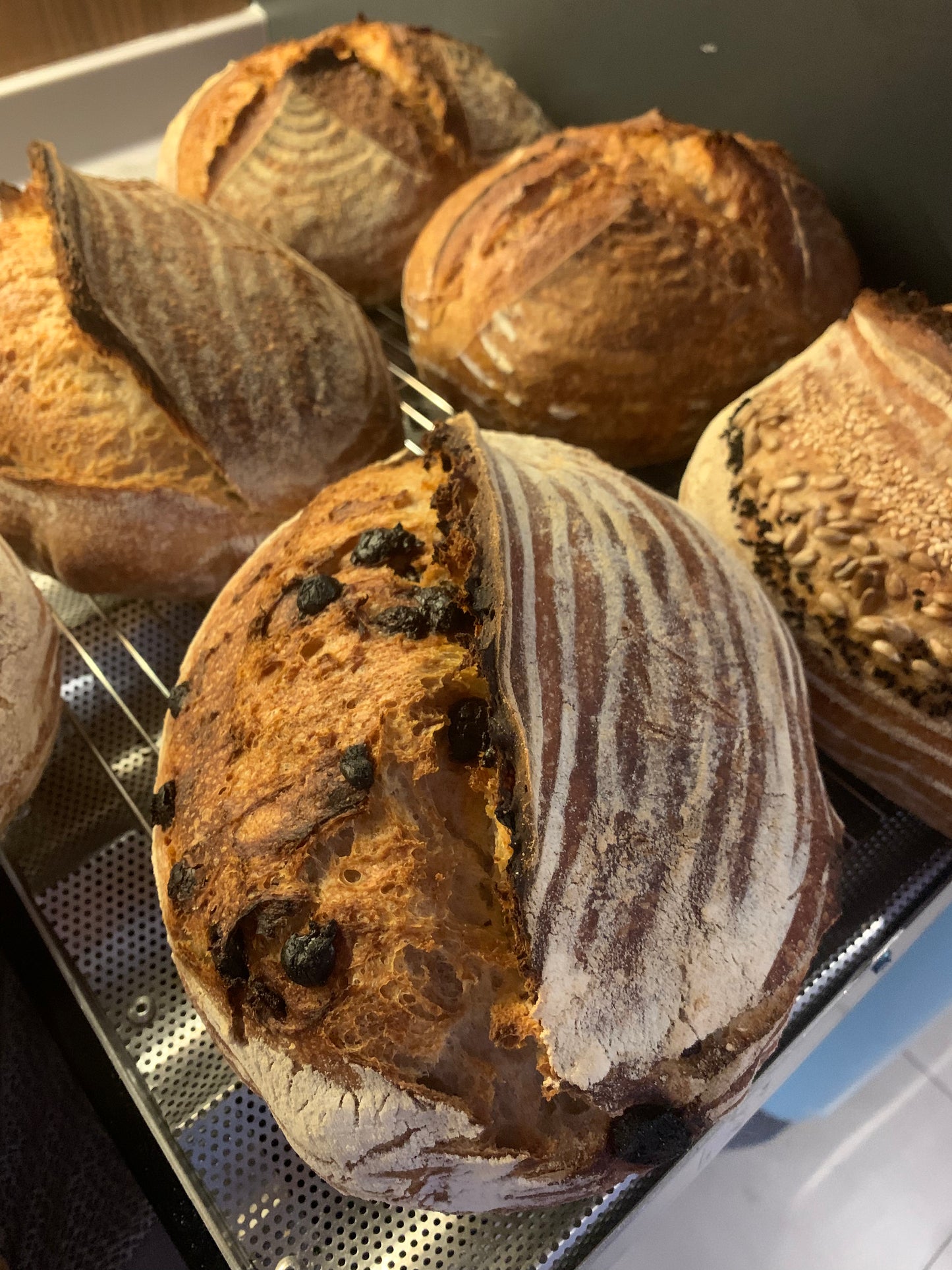 Sourdough with Hershey’s dark chocolate chips (weight ~950grams)