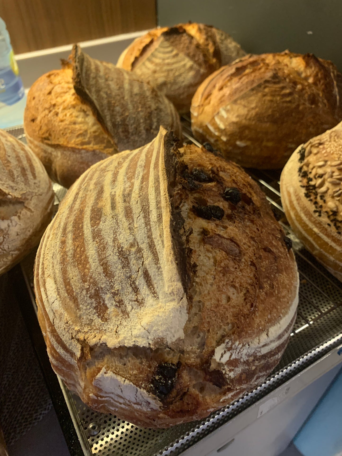 Sourdough with Hershey’s dark chocolate chips (weight ~950grams)
