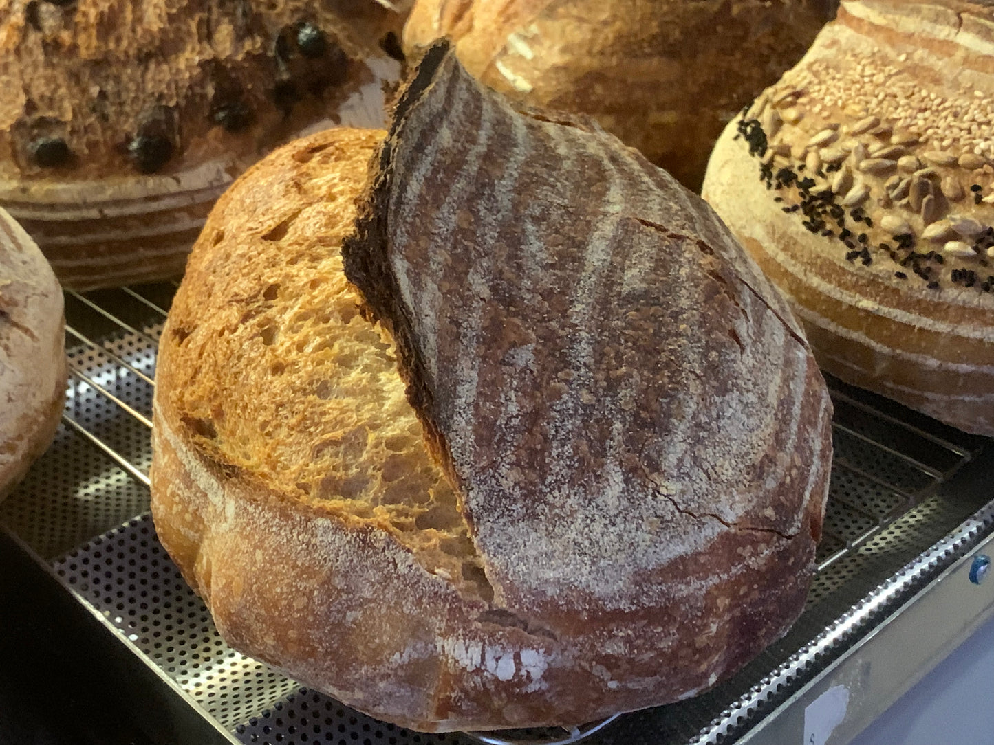 Sourdough Plain